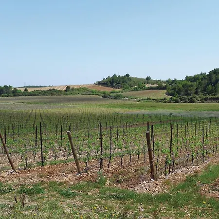 Gorgeous Home In Thezan-Les-Beziers *